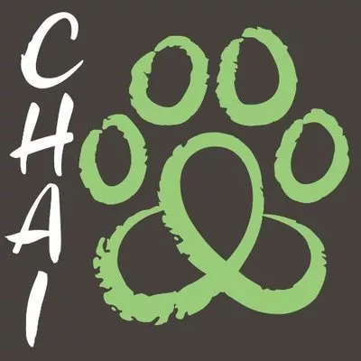 Chattanooga Holistic Animal Institute, Tennessee, Chattanooga